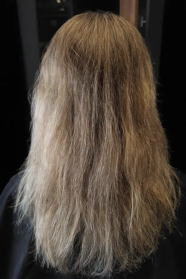 Voorfoto van highlights voor behandeling bij Kapsalon Bicare in Leek