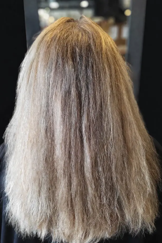 Voorfoto van lang haar voor een behandeling met highlights en lowlights